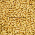 Fried Blanched Peanut Kernel